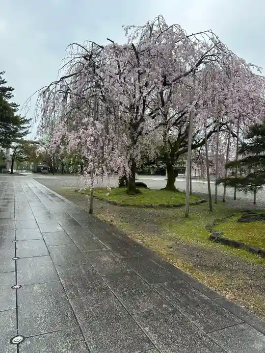 富山縣護國神社の{uncategorized: "未分類", other: "その他", undefined: "問題あり", building: "その他建物", grave: "お墓", sacred_gate: "鳥居", guardian: "狛犬", statue: "像", buddha: "仏像", history: "歴史", nature: "自然", garden: "庭園", animal: "動物", pagoda: "塔", temizu: "手水舎", mountain_gate: "山門・神門", sanctuary: "本殿・本堂", subordinate: "末社・摂社", art: "芸術", scenery: "景色", jizo: "地蔵", ema: "絵馬", goshuin: "御朱印", omikuji: "おみくじ", items: "授与品その他", amulet: "お守り", goshuincho: "御朱印帳", eats: "食事", festival: "お祭り", votive_dance: "神楽", shichigosan: "七五三参", wedding: "結婚式", experience: "体験その他", initially: "初詣", around: "周辺", anti_infection: "感染症対策"}