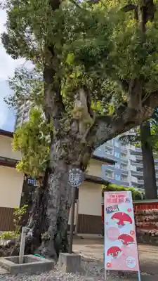 榴岡天満宮(宮城県)