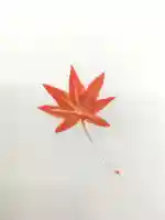 聖天宮 西江寺の授与品その他