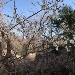 三澤寺の景色(2021年03月18日(木) 17時47分51秒投稿)