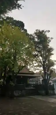 千住氷川神社の本殿・本堂