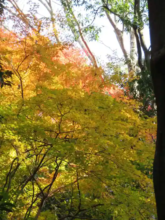 倭姫宮(皇大神宮別宮)の自然