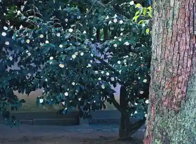 三津厳島神社(愛媛県)