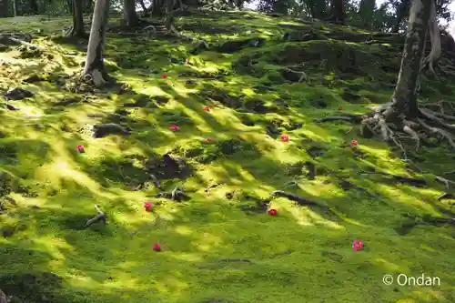 城南宮(京都府)