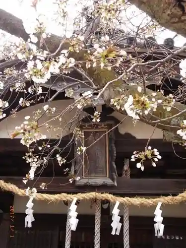 林神社の本殿