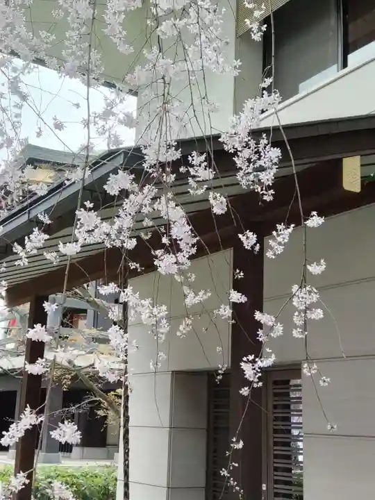宝勝山 南藏院 蓮光寺の庭園