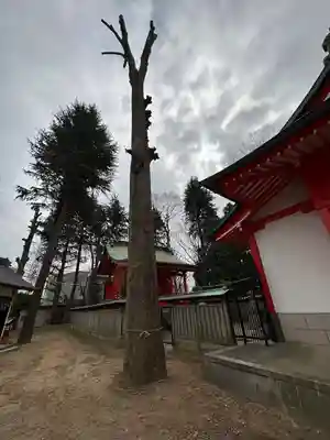 小野神社(東京都)