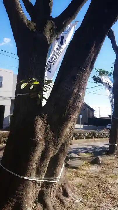正明神社の自然