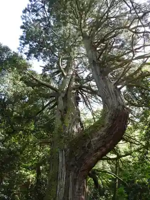 蓮華寺(滋賀県)