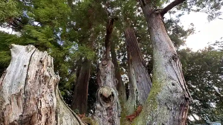 八坂神社(京都府)