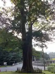 室生龍穴神社の自然