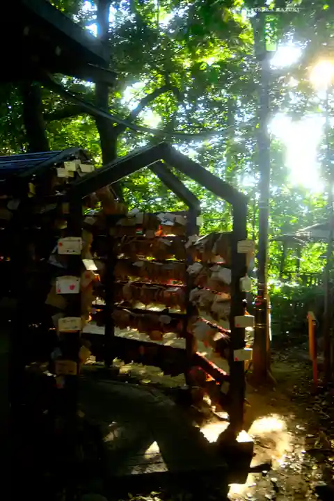 川越氷川神社(埼玉県)