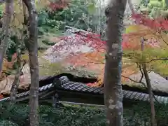 祇王寺の建物その他