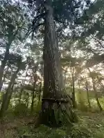 熊野神社(宮城県)