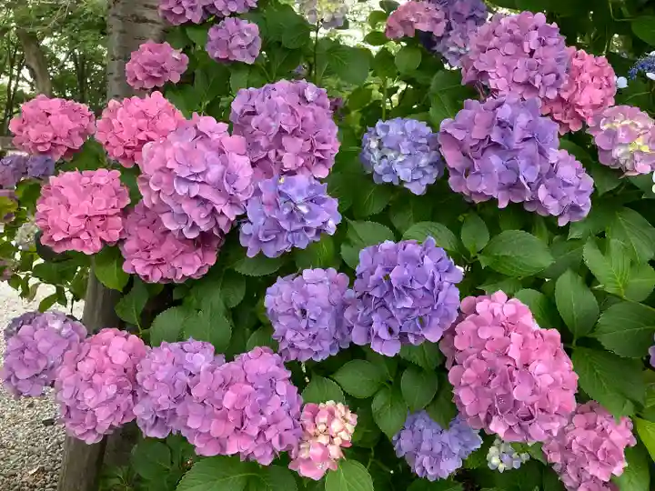 御裳神社の自然