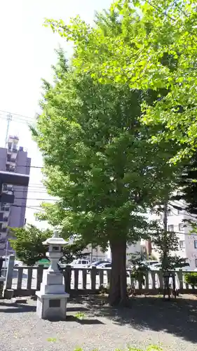 札幌村神社の自然