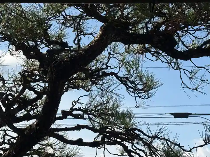 西方山極楽寺(岐阜県)