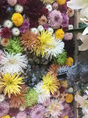 札幌諏訪神社の手水舎