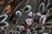 阿邪訶根神社の授与品その他