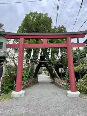 荏柄天神社の鳥居