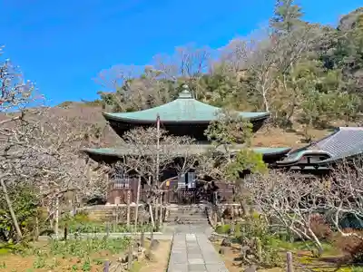 瑞泉寺の本殿・本堂