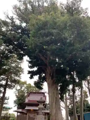 星之宮大神(千葉県)