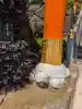 穴八幡宮(東京都)