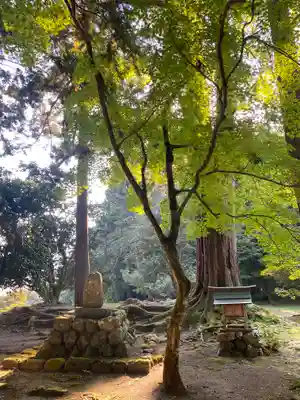 興聖寺(滋賀県)