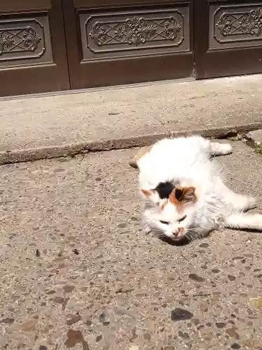 阿邪訶根神社(福島県)