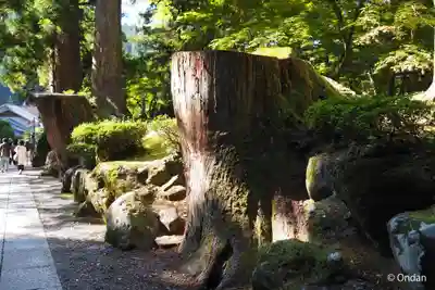 永平寺(福井県)