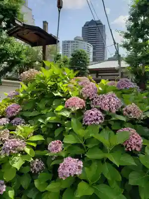 浄土寺(東京都)