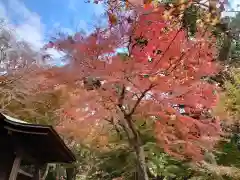 普門寺(切り絵御朱印発祥の寺)(愛知県)