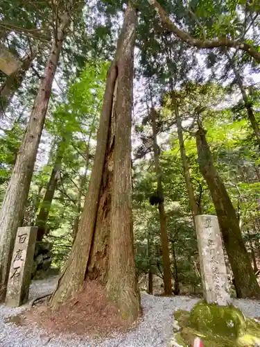  川上山若宮八幡宮(三重県)