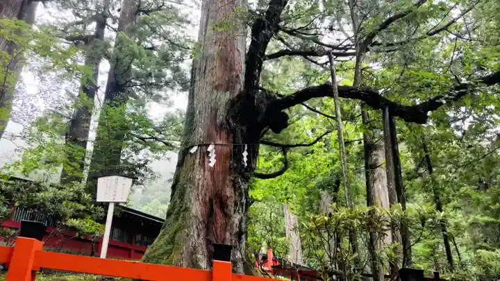 日光二荒山神社(栃木県)