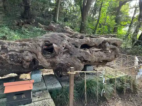 泉神社(茨城県)
