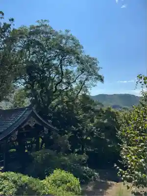 崇禅寺(群馬県)