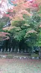 天寧寺の自然