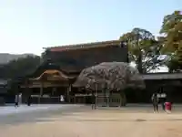 太宰府天満宮の本殿・本堂