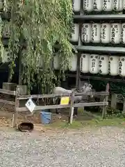 大石神社の動物