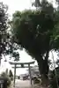 玉田神社の鳥居
