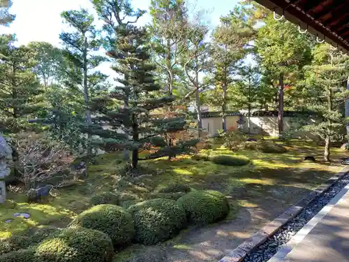 大雄院(京都府)