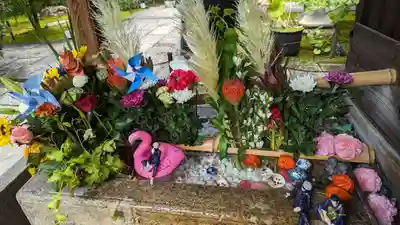 勝林寺(京都府)