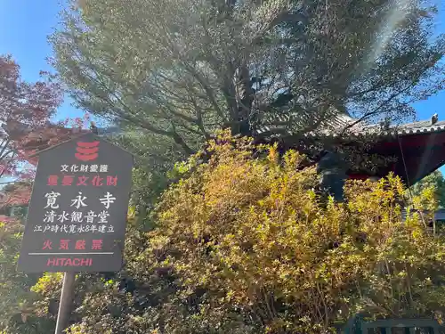 清水観音堂(東京都)