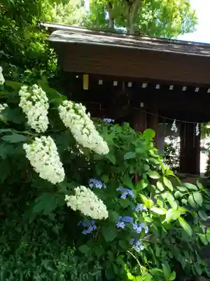 阿佐ヶ谷神明宮(東京都)