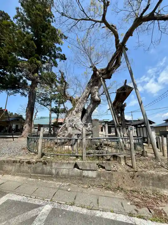 新宮熊野神社(福島県)