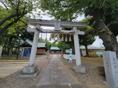 新曽氷川神社の鳥居