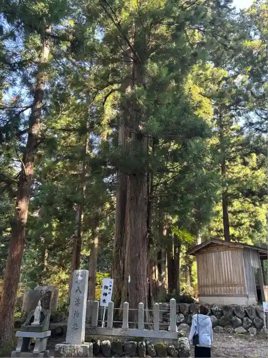 八海神社(新潟県)