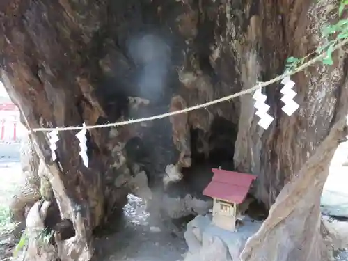 來宮神社(静岡県)