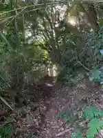 金毘羅神社の周辺