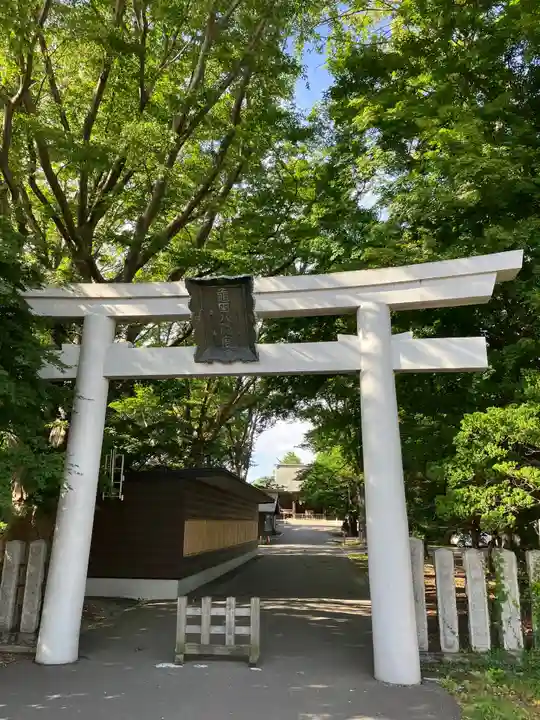 亀田八幡宮の鳥居